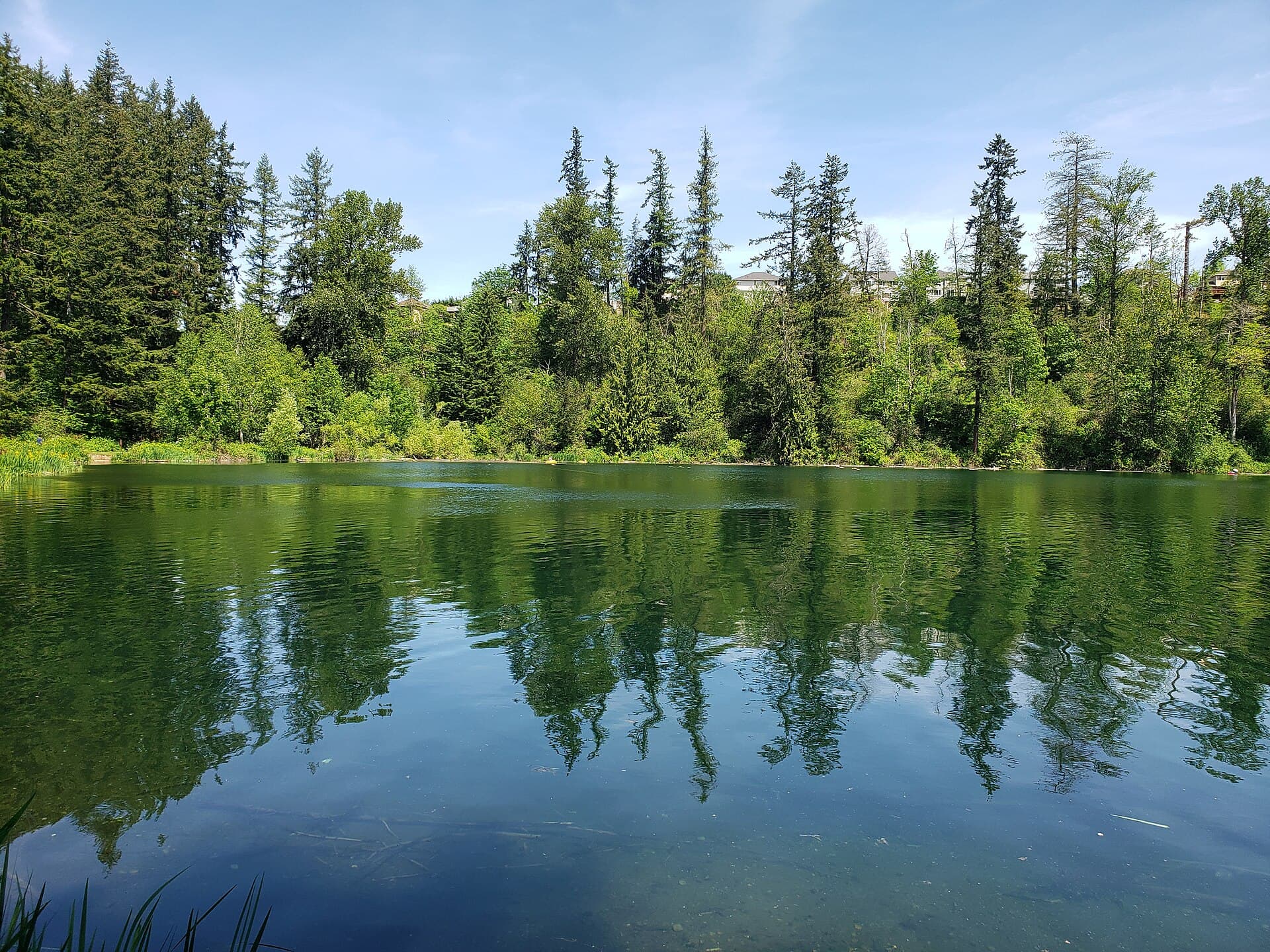Maple Valley, Washington